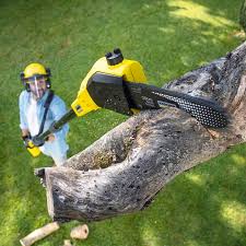 Best Landscape Design and Installation  in Neenah, WI