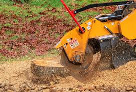 Best Hazardous Tree Removal  in Neenah, WI