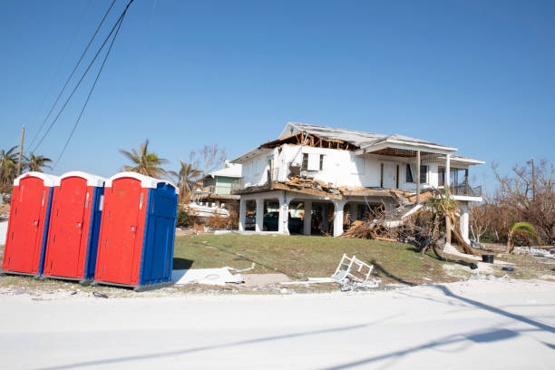 Best Tree Removal  in Neenah, WI